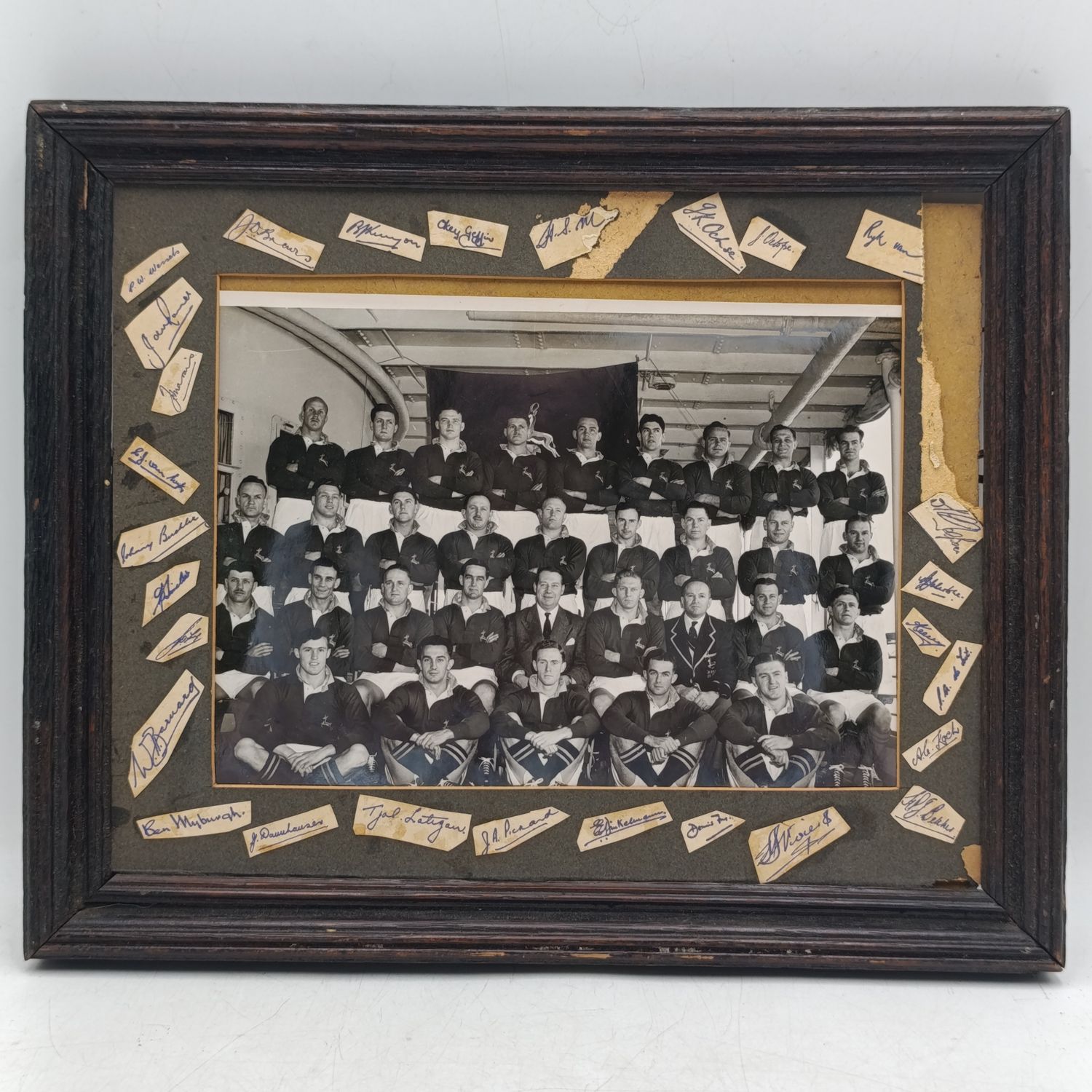 Vintage Springbok rugby squad photo 1951-1952 with signatures collectible