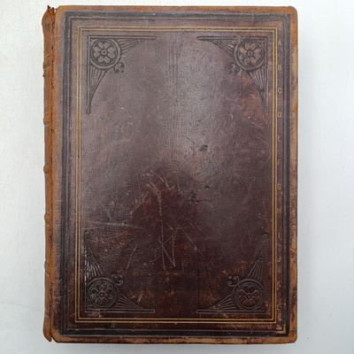Antique leather bound English Standard dictionaries - Volume 1 and 2 Subscription edition