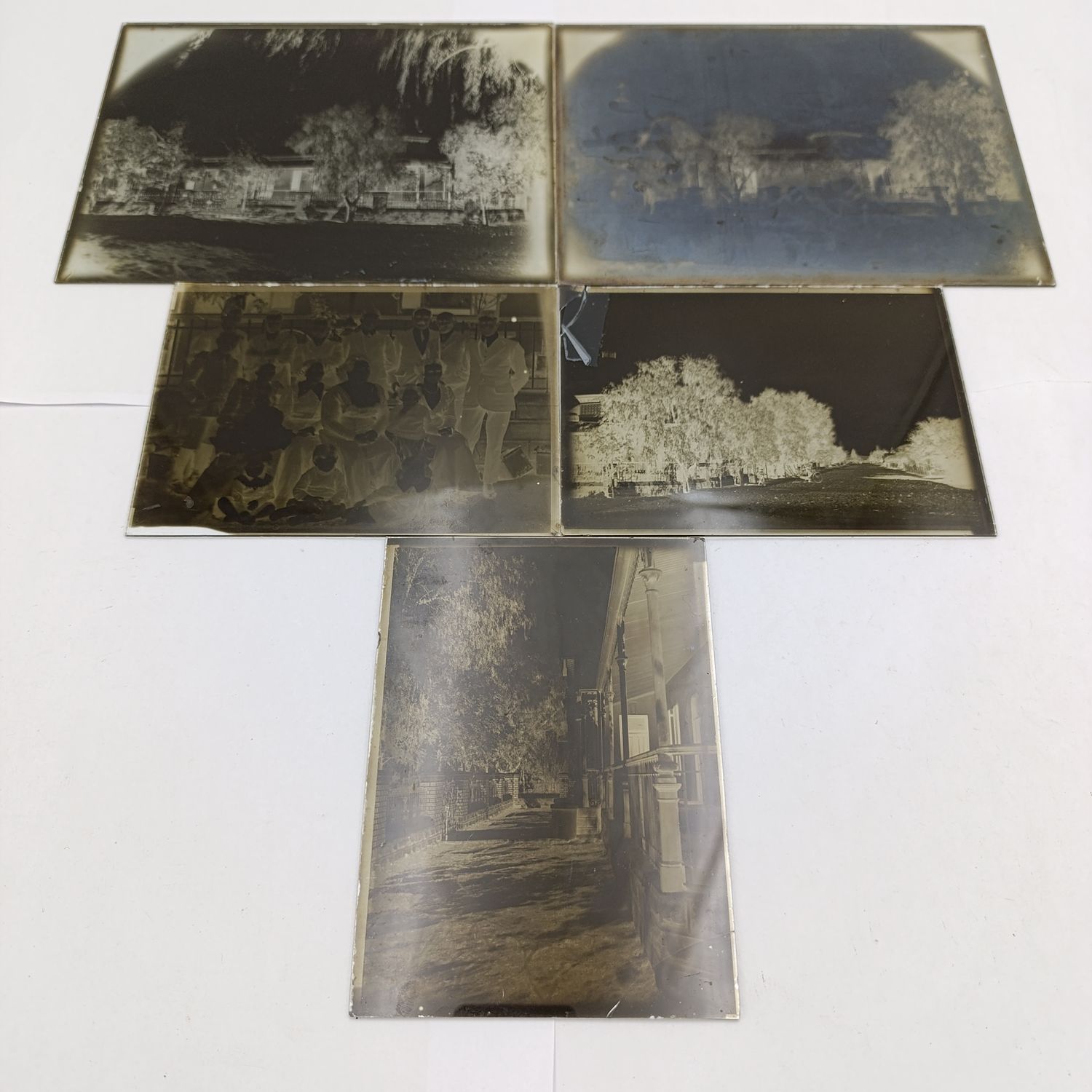 Box full of photographic glass negatives