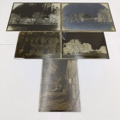 Box full of photographic glass negatives