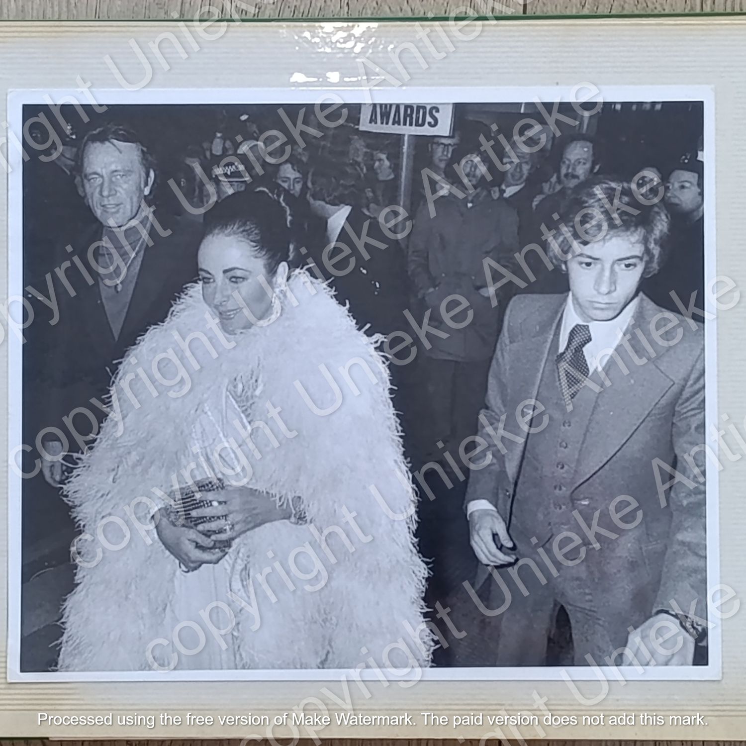 Lot of 41 Original Elizabeth Taylor photos in album - Most A4+ size - Also various other celebs - 1970s period