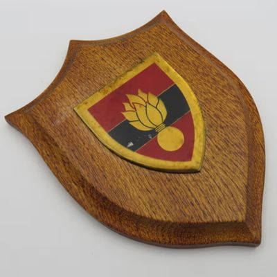SADF school of engineers shoulder flash plaque