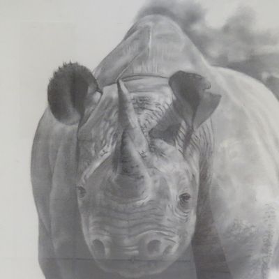 Beautiful Rhino print in frame by Samuel Tafula