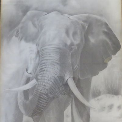 Beautiful Elephant print in frame by Samuel Tafula