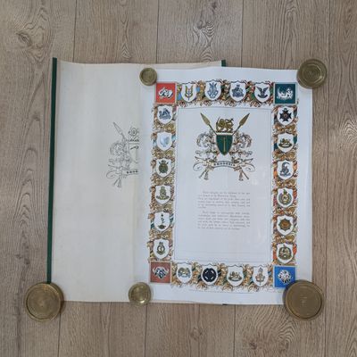 Rhodesian Army Insignia artwork by Andrew Du T. Crous with sleeve - Signed #420 of 1000