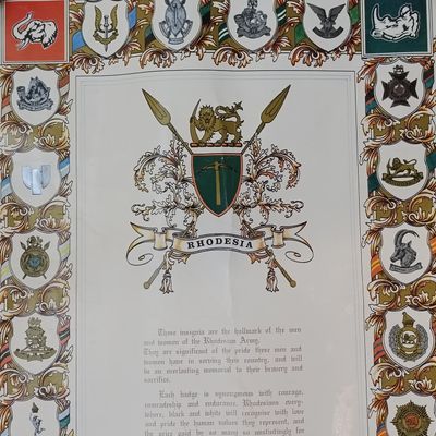 Rhodesian Army Insignia artwork by Andrew Du T. Crous with sleeve - Signed #420 of 1000