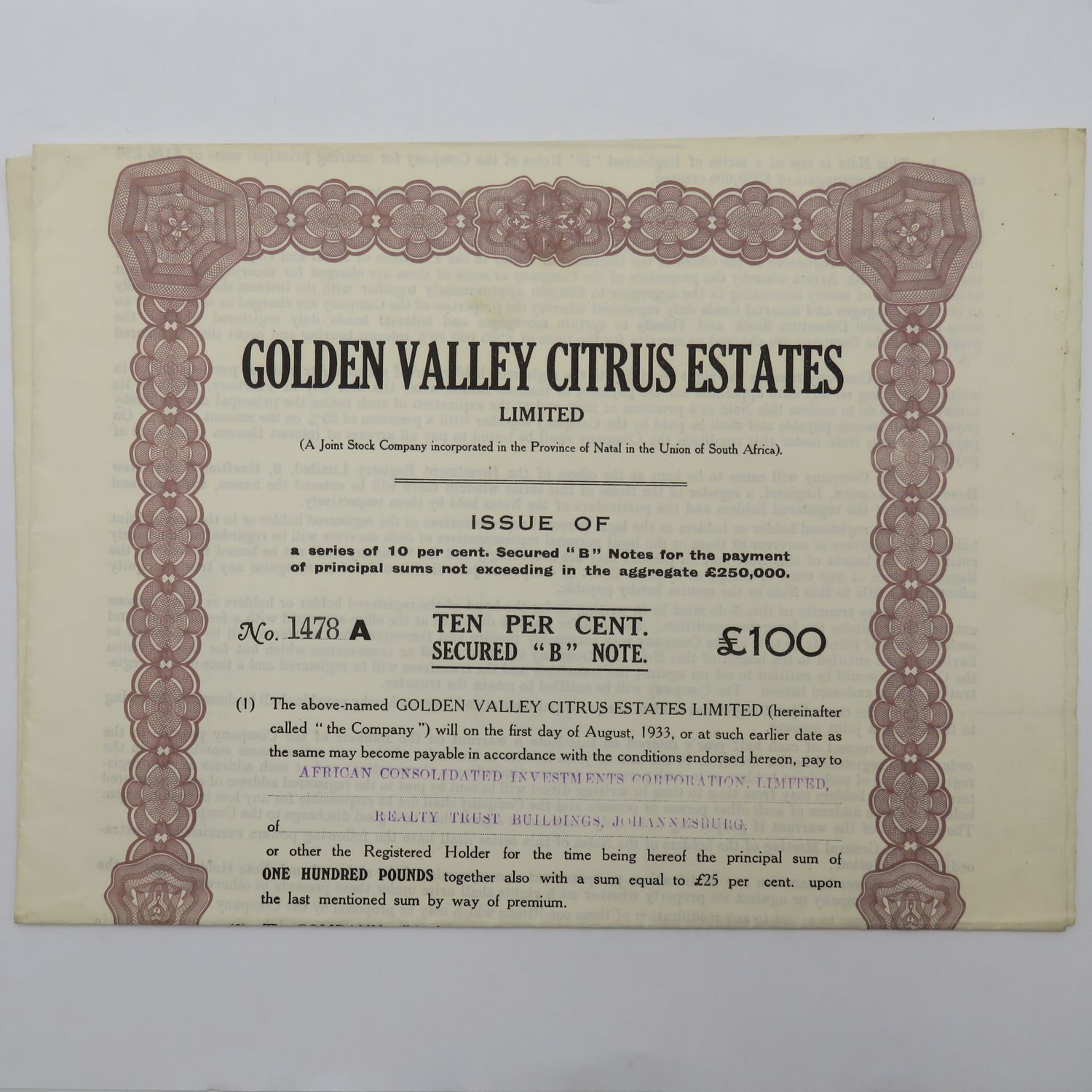 1927 Share certificate in Golden Valley Citrus Estates in favour of African Consolidated investments