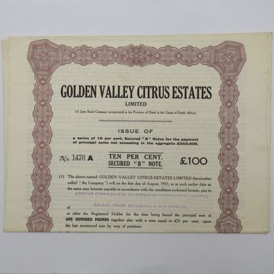 1927 Share certificate in Golden Valley Citrus Estates in favour of African Consolidated investments