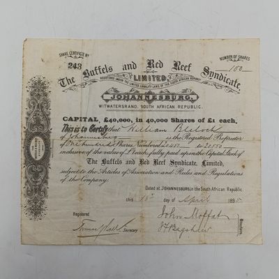 1895 Share Certificate in The Buffels and Red reef Syndicate in favour of William Bulock