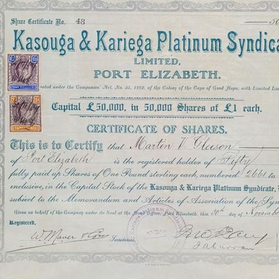 Share certificate for Kasonga &amp; Kariega Platinum Syndicate issued 1907 to Martia V Gleeson