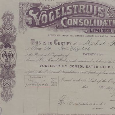 Share certificate for Vogelstruis consolidated Deep issued 1908 to Michael Gleeson