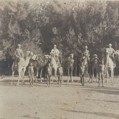 WW1 Period photo of Bushmen and Schutztruppe on camels - original
