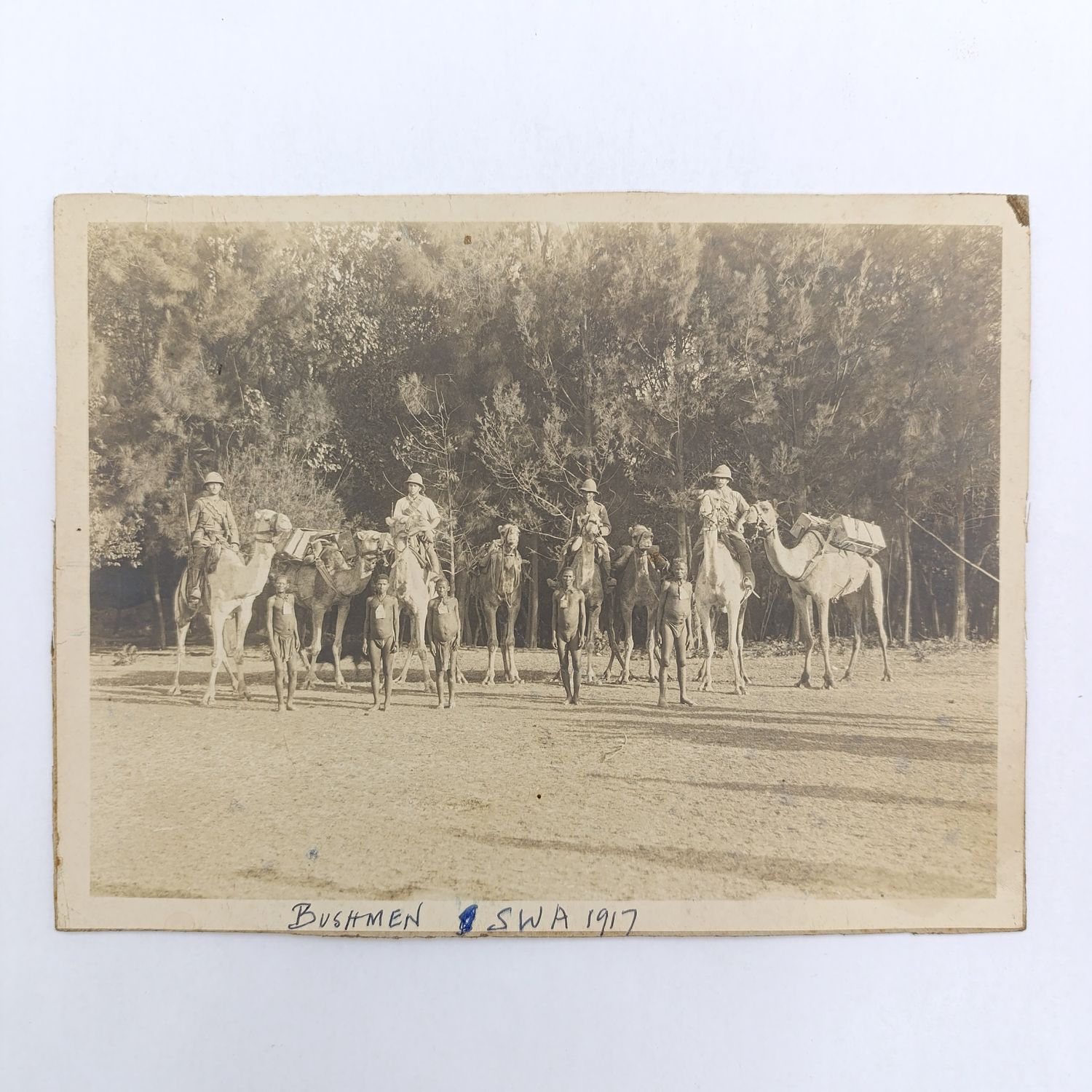 WW1 Period photo of Bushmen and Schutztruppe on camels - original