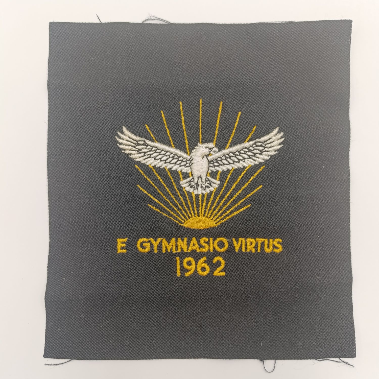 1962 SA Air Force Gymnasium cloth badge