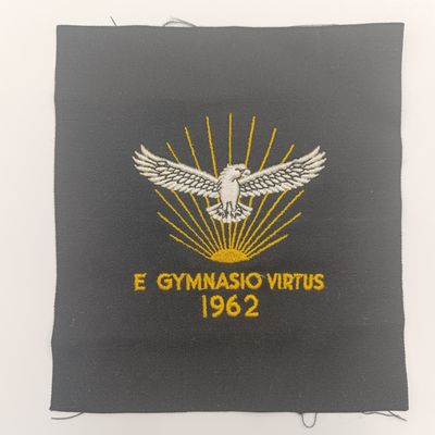 1962 SA Air Force Gymnasium cloth badge