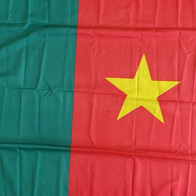 Flag of Cameroon