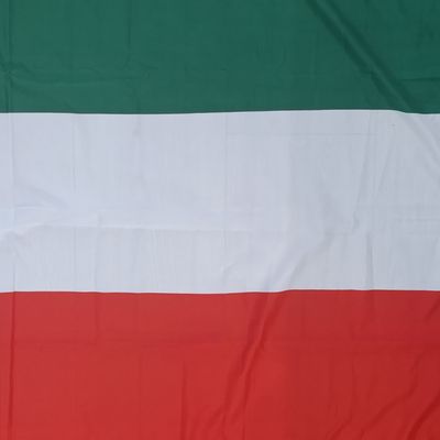 Flag of Hungary