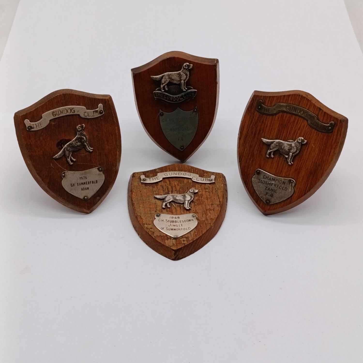 Lot of 4 vintage The Gundog Club trophy plaques