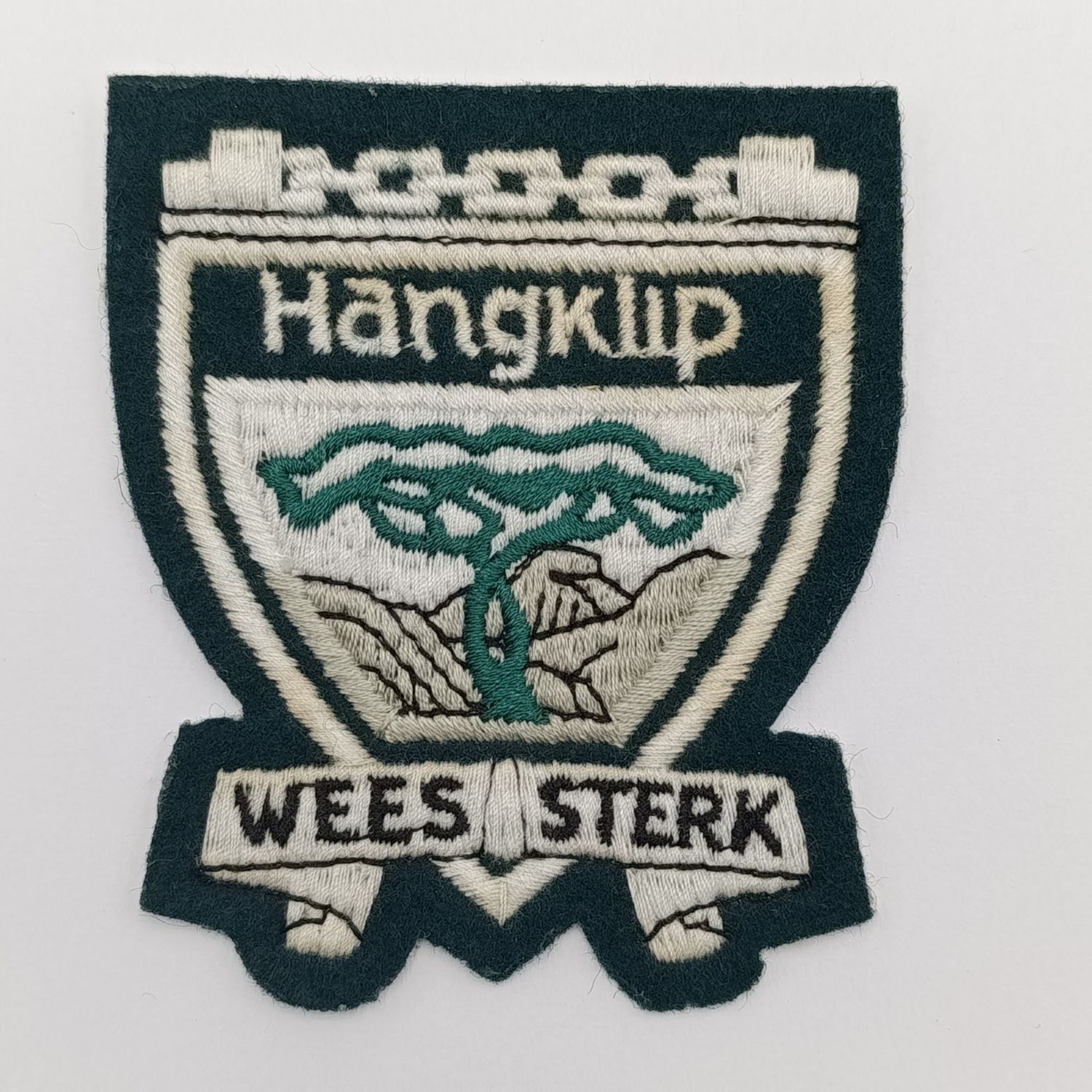 Hangklip School Queenstown vintage blazer badge