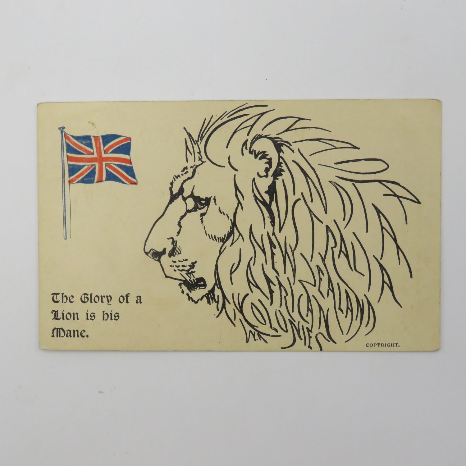 WW1 Period Colonies postcard - The glory of a Lion is in his mane - Look closely at Mane to find names of the colonies