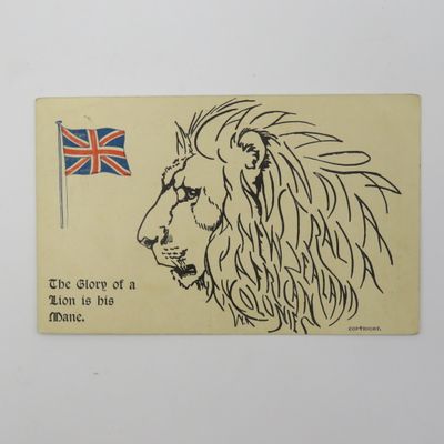 WW1 Period Colonies postcard - The glory of a Lion is in his mane - Look closely at Mane to find names of the colonies