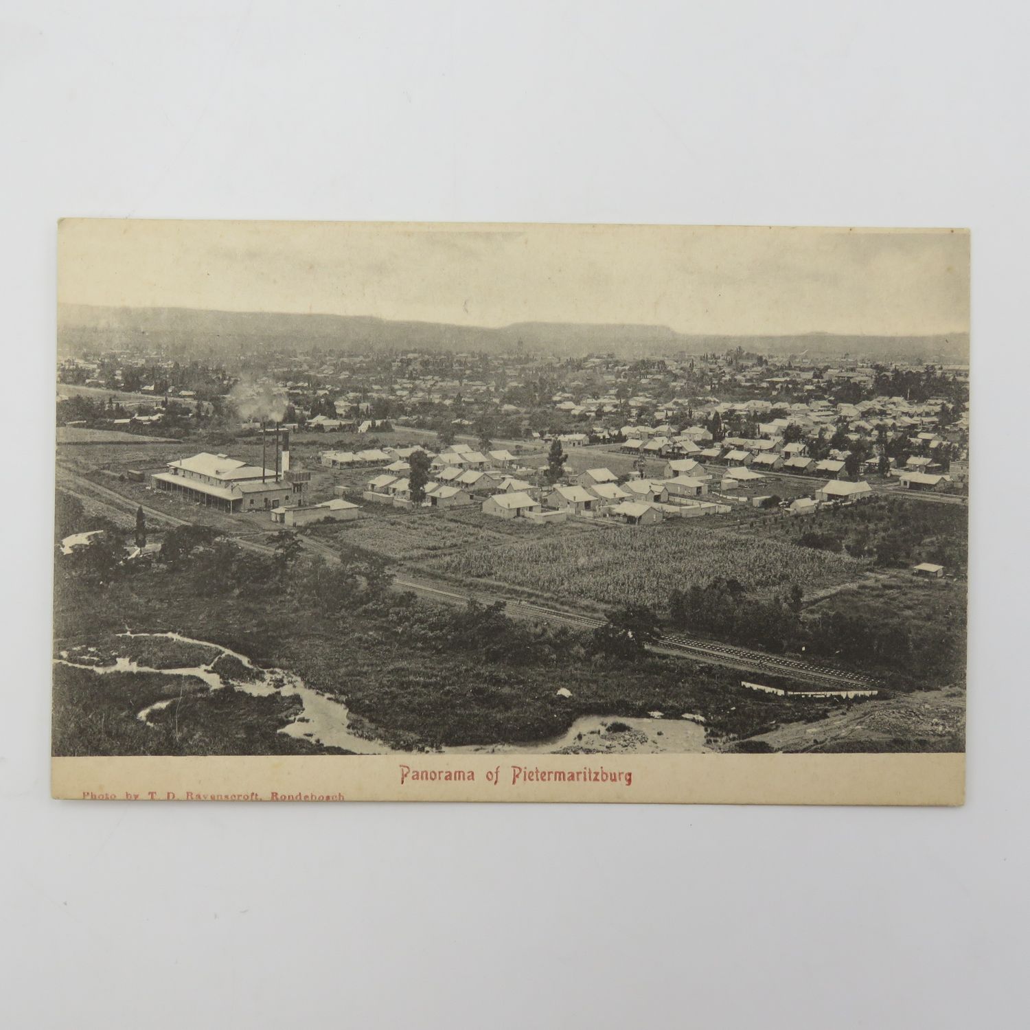 Antique postcard - Panorama of Pietermaritzburg