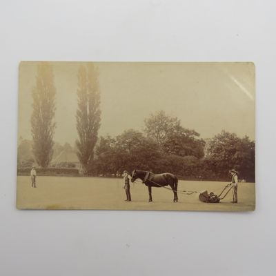 Unusual photo Postcard circa 1920's Horse Drawn grass cutter