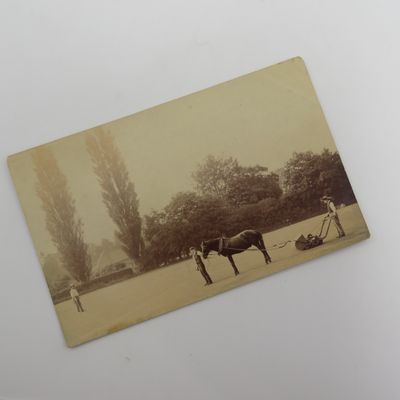 Unusual photo Postcard circa 1920's Horse Drawn grass cutter