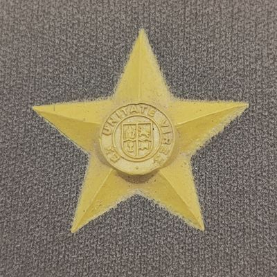 Pair of SADF 1st Lieutenant rank epaulettes