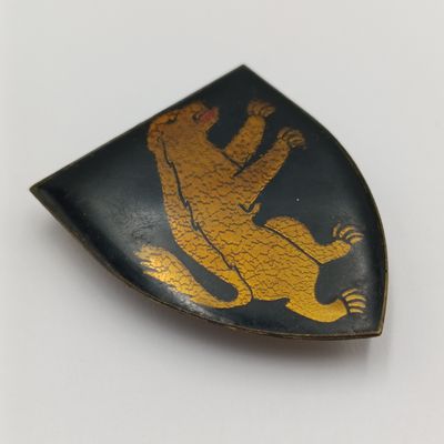 SADF 1 SA Infantry shoulder flash