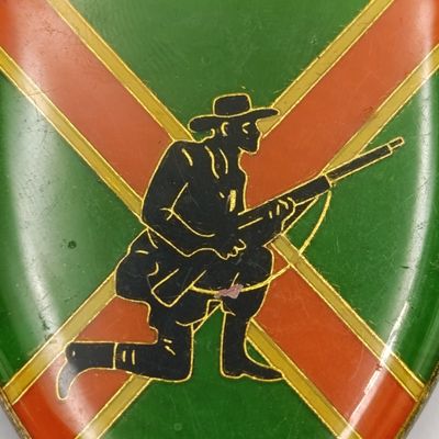 SADF Danie Theron combat school shoulder flash