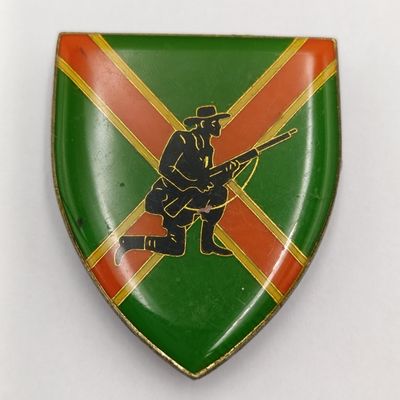 SADF Danie Theron combat school shoulder flash