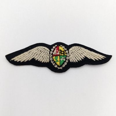SA Air Force cloth pilot wings