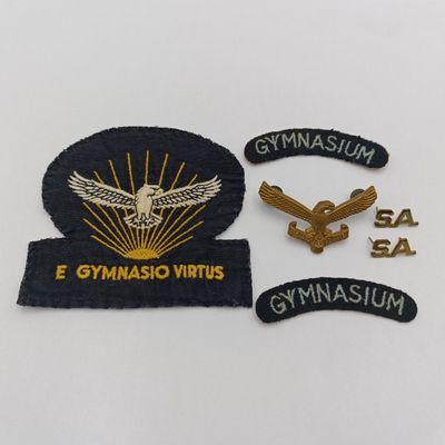 Lot of SA Air Force Gymnasium badges