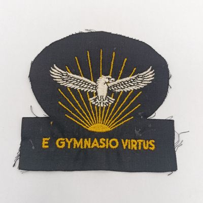 Lot of SA Air Force Gymnasium badges