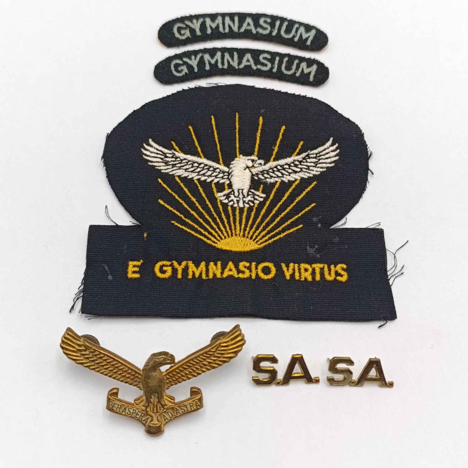 Lot of SA Air Force Gymnasium badges