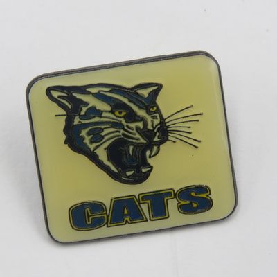 Vintage CATS rugby pin badge