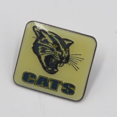 Vintage CATS rugby pin badge