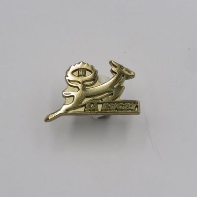 SA Rugby pin issued to referees and players