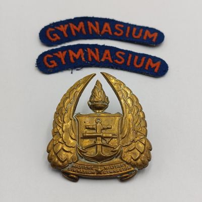SADf Military Gymnasium cap badge and cloth shoulder titles