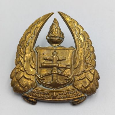 SADf Military Gymnasium cap badge and cloth shoulder titles
