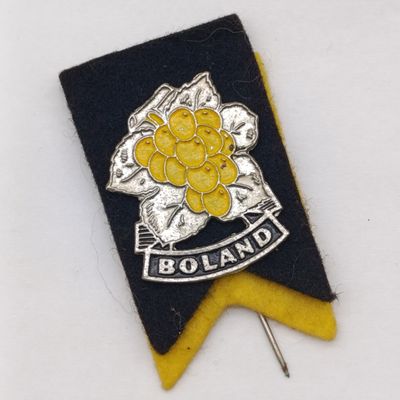 Vintage Boland Rugby stick pin badge