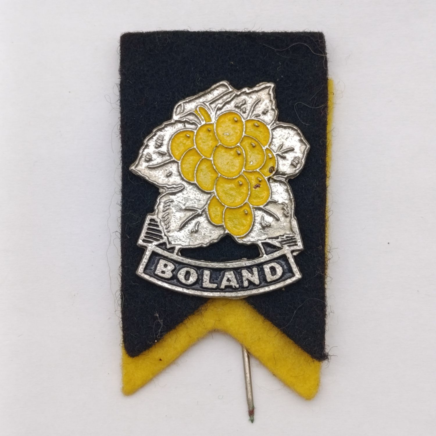 Vintage Boland Rugby stick pin badge