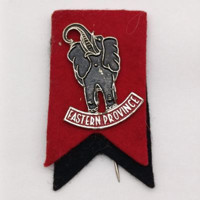Vintage Eastern Province Rugby stick pin