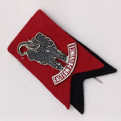 Vintage Eastern Province Rugby stick pin