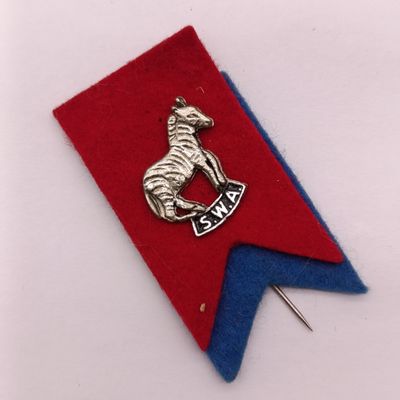 Vintage South West Africa Rugby stick pin