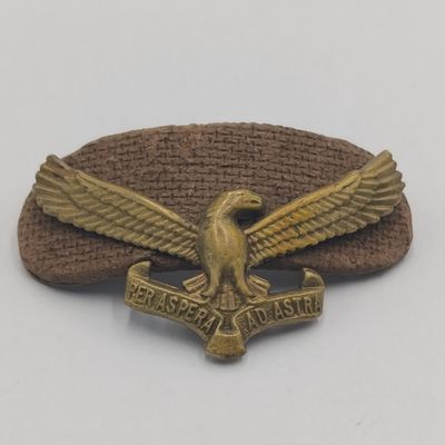 Vintage SAAF cap badge