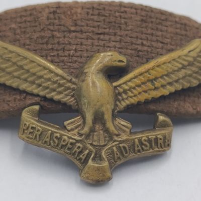 Vintage SAAF cap badge