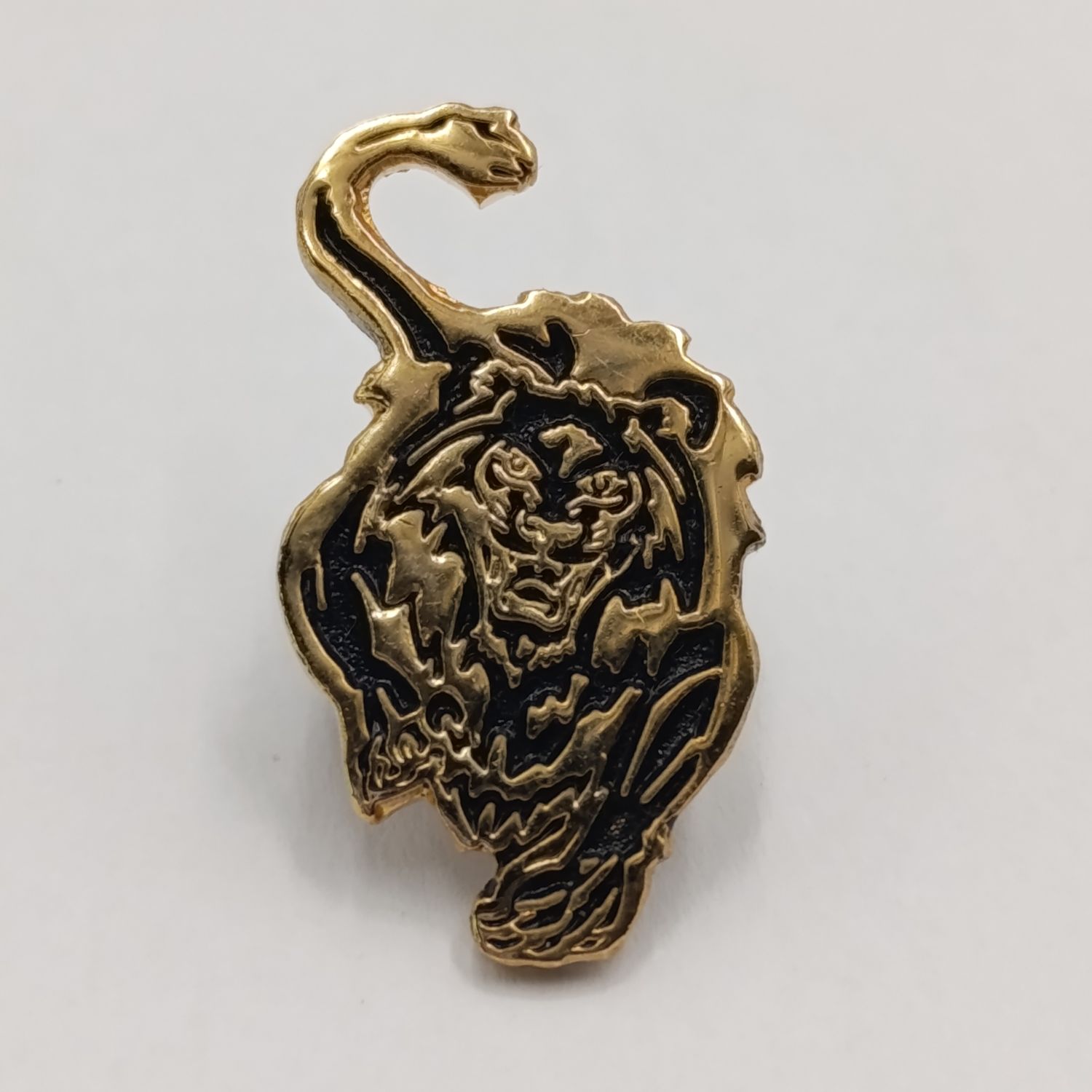 Lions pin badge issued to players and team