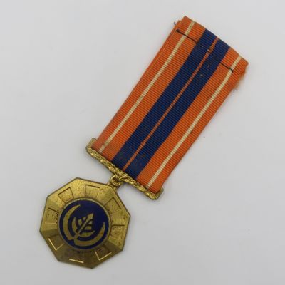SADF Pro Patria full-size medal - #181549 - fixed type